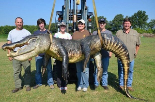 Illustration for article titled Gator season in Mississippi